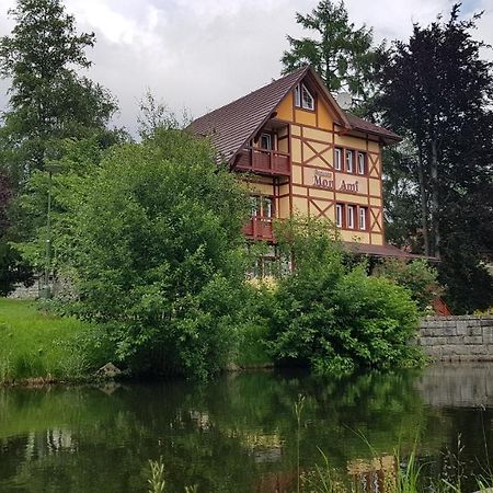 Penzion Villa Mon Ami Vysoke Tatry Exterior photo